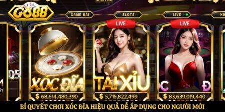 Bí Quyết Chơi Xóc Đĩa Hiệu Quả Dễ Áp Dụng Cho Người Mới