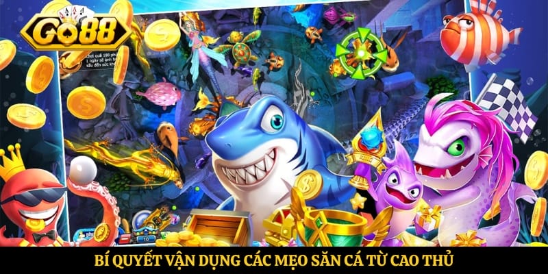 Bí quyết vận dụng các mẹo săn cá từ cao thủ