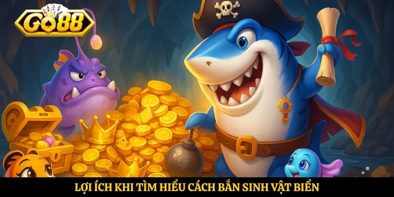 Lợi ích khi tìm hiểu cách bắn sinh vật biển